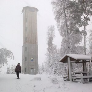 Fin on the summit of Javornická hůra (23.12.2023 11:15)