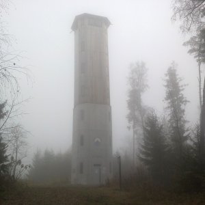 Fin on the summit of Javornická hůra (6.12.2025 10:28)