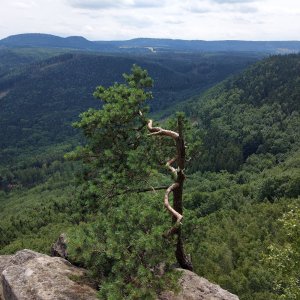 Lenka na vrcholu Koruna (12.7.2023 14:02)