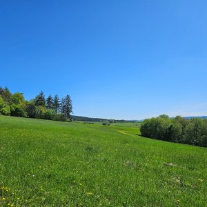 Marcela Kubíčková na vrcholu Ploština (26.4.2025 11:35)
