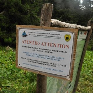 ThrasherVojti on the summit of Albele (25.8.2014 0:00)