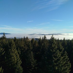 Jan Blažej on the summit of Medvědí vrch (13.12.2025 14:36)