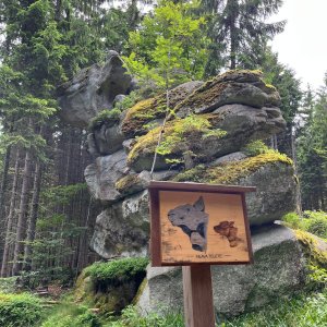 Radka D on the summit of Hlava telete (17.6.2025 12:17)