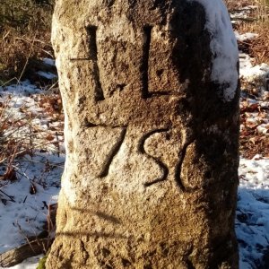 Jiřina on the summit of U Tříhranného (25.12.2025 13:00)