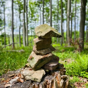 Jiří Králík na vrcholu Býčí (18.5.2025 13:18)