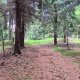 p_e_t_r_95 na vrcholu Rudný vrch