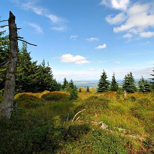 lubob na vrcholu Ptačí kupy (16.9.2012 12:10)