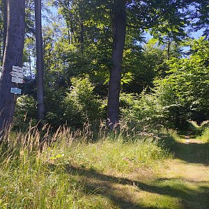 Jitka na vrcholu Čerešienky (25.7.2022 12:50)