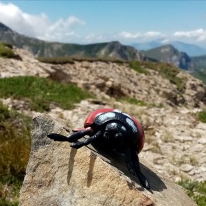 Jiřina on the summit of Karabinar (25.7.2026 12:56)