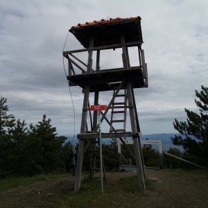 Daniel Ledl on the summit of Krst (22.5.2025 8:29)