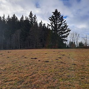 Horalka Anička na vrcholu Teplá (14.1.2023)