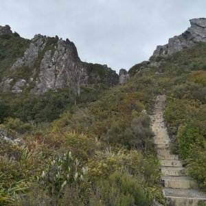 Chilli Karin on the summit of The Pinnacles (24.7.2019 12:00)