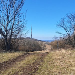 Ilona Stočesová na vrcholu Matrelík (16.3.2025 7:50)