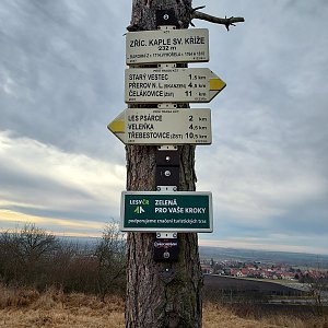 Jar Faldy na vrcholu Břístevská hůra (2.1.2022 12:31)