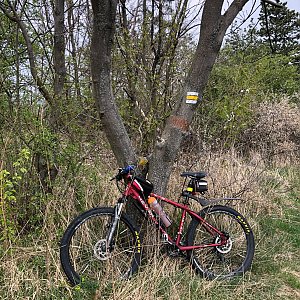 Radka D na vrcholu Břístevská hůra (15.4.2022 12:49)