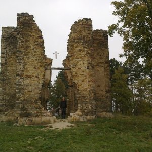 Fin na vrcholu Břístevská hůra (26.10.2024 11:01)