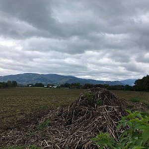 Radka D na vrcholu Hůra u Trojačky (1.10.2022 15:08)