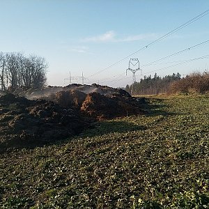 Horalka Anička na vrcholu Hůra u Trojačky (31.12.2020)