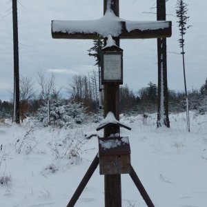 Mykas na vrcholu Bučina (14.1.2025 13:13)
