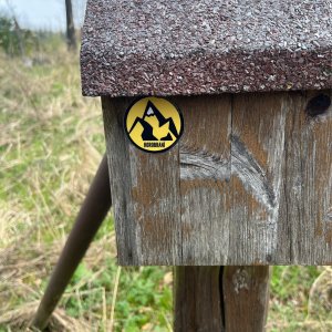 Mertelici na tripu na vrcholu Bučina (15.4.2026 15:34)