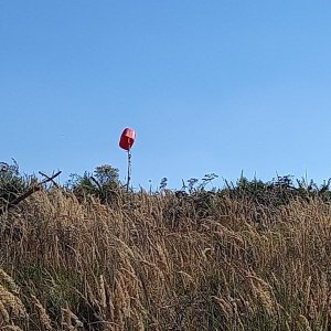 Profesorskey - Jan Bratt on the summit of Kozí hřbet (10.9.2023 15:17)