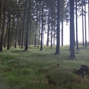 Vratislav Sejkora na vrcholu Loupežnický vrch V (18.6.2025 15:26)