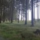 Vratislav Sejkora na vrcholu Loupežnický vrch V (18.6.2025)