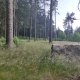 Vratislav Sejkora na vrcholu Loupežnický vrch V (18.6.2025)