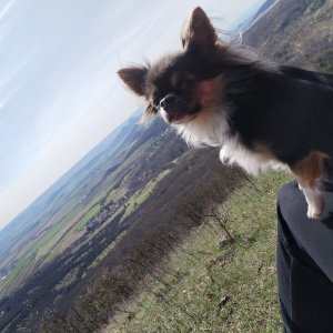 Kačka Kodešová na vrcholu Solanská hora (28.3.2026 13:06)
