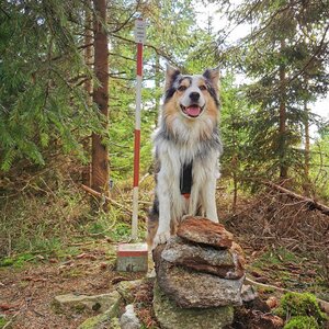 Jiří Králík on the summit of Ucháč (29.9.2024 13:33)