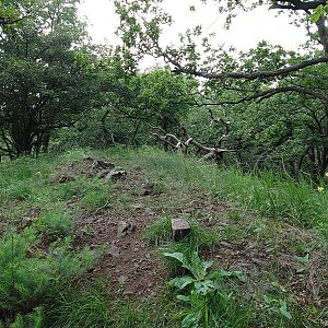 Nojby na vrcholu Dlouhý vrch (23.7.2021 13:53)