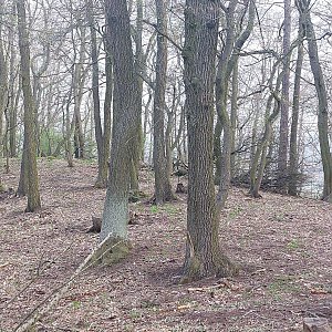 České středohoří