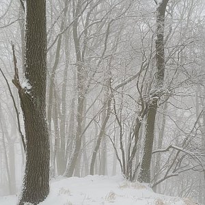 České středohoří