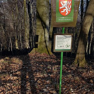 Profesorskey - Jan Bratt na vrcholu Bukový vrch (16.3.2023 15:55)