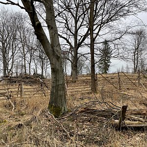 Tonda, Peťule a Fram na vrcholu Bukový vrch (19.3.2023 17:03)