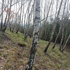 Cyklista 73 na vrcholu Špičák (17.4.2022 10:10)