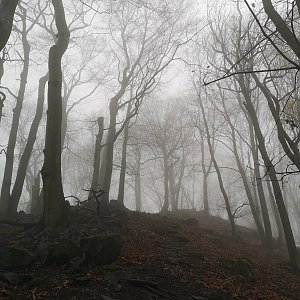 vyxinka na vrcholu Modřín (17.11.2022 10:12)