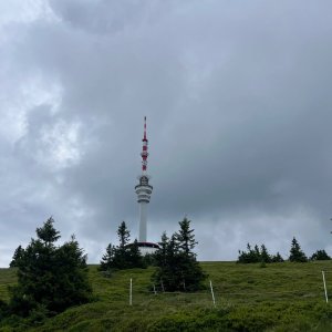 telule on the summit of Praděd (10.7.2025 13:15)