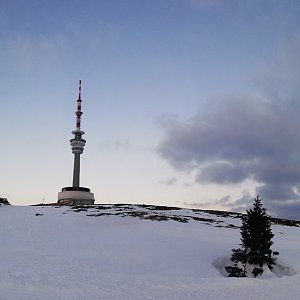 Kačička na vrcholu Praděd (25.4.2021 6:00)