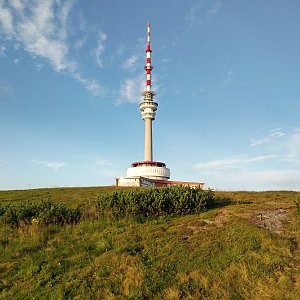 Krista na vrcholu Praděd (30.7.2021 5:48)