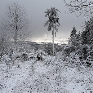 Jaromír Mach na vrcholu Kukla (25.12.2020 12:12)
