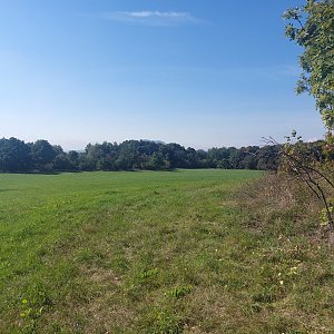 Cyklista 73 na vrcholu Pohorský vrch (23.9.2022 11:11)