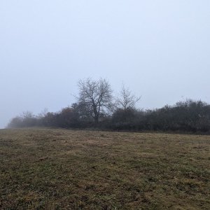 Michal Hájek on the summit of Hásův kopec (11.11.2025 10:22)