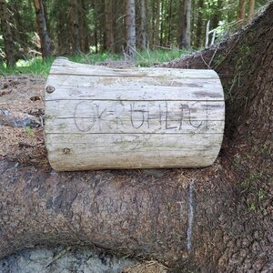 Horalka Anička na vrcholu Okrouhlice (15.5.2024)