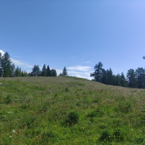 Vratislav Sejkora na vrcholu Auerlingköpfl (4.7.2025 10:21)