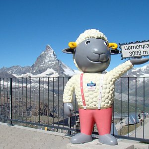 PavelPl na vrcholu Gornergrat (7.8.2016 10:45)