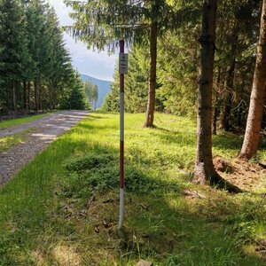 Šárka na vrcholu Kotly (27.5.2024 16:00)