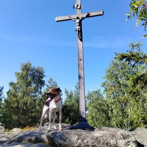 Figgo na vrcholu Březník (17.8.2023 9:40)
