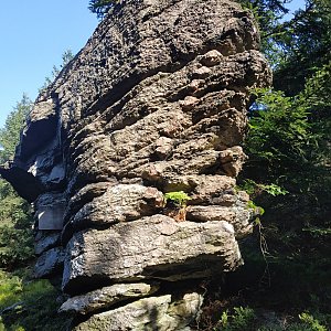 krupjan na vrcholu Maruša (21.8.2021 9:28)