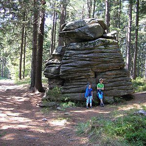 Badger na vrcholu Pustina (23.8.2019 12:00)